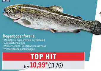 METRO Regenbogenforelle kg Angebot