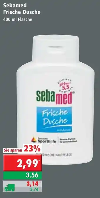 L. STROETMANN GROSSMARKT Sebamed Frische Dusche 400ml Angebot