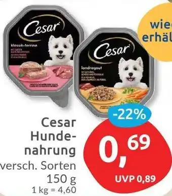 Budni Cesar Hundenahrung 150 g Angebot