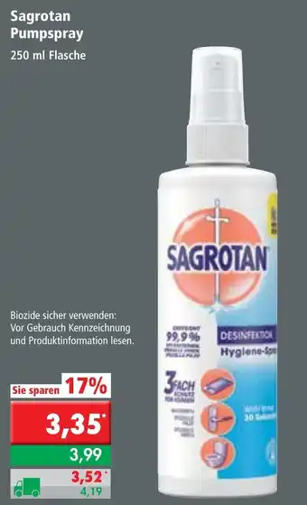 L. STROETMANN GROSSMARKT Sagrotan Pumpspray 250ml Angebot