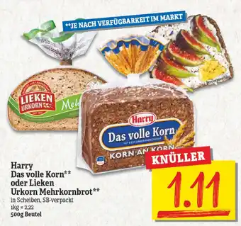 NP Discount Harry Das Volle Korn oder Lieken Urkorn Mehrkornbrot 500g Beutel Angebot