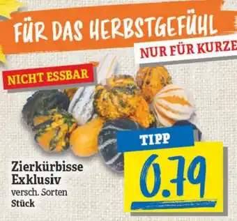 NP Discount Zierkürbisse Exklusiv Angebot