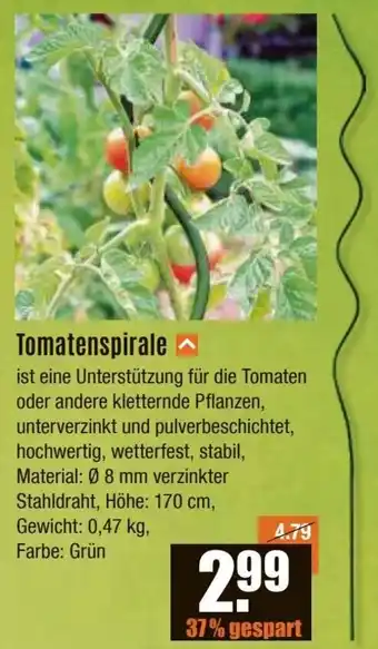 V Baumarkt Tomatenspirale Angebot