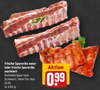 REWE Frische Spareribs natur oder frische Spareribs mariniert 100 g Angebot