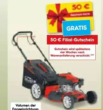 Netto Marken-Discount Benzinrasenmäher Eco Wheeler 464.2 R Angebot