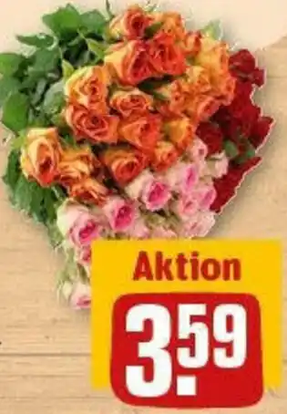 REWE Moosrosen Angebot