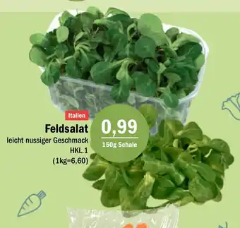 Aktiv Irma Feldsalat leicht nussiger Geschmack 150g Schale Angebot