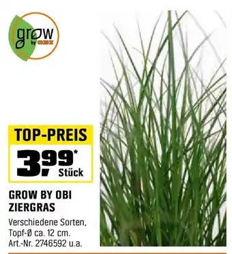 OBI GROW BY OBI ZIERGRAS Angebot