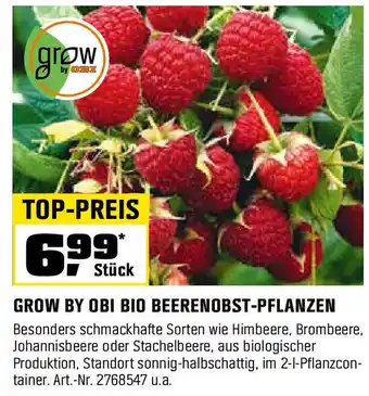 OBI GROW BY OBI BIO BEERENOBST-PFLANZEN Angebot