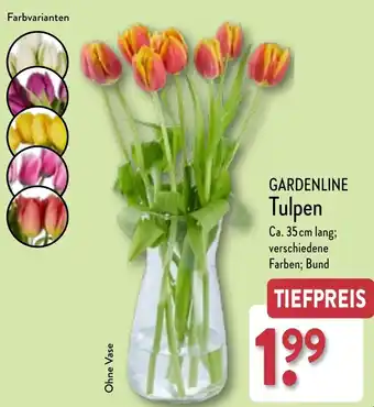 Aldi Nord GARDENLINE Tulpen Angebot