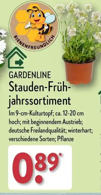 Aldi Nord GARDENLINE Stauden-Früh- jahrssortiment Angebot