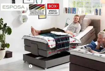 Zurbrüggen ESPOSA Boxspringbett MANOLO Angebot