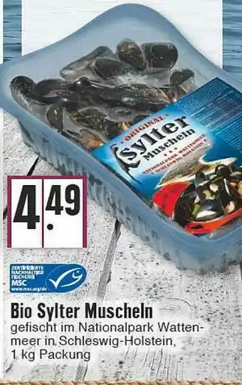 Edeka Bio Sylter Muscheln Angebot