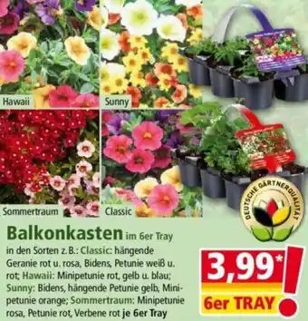 Norma Balkonkasten Angebot