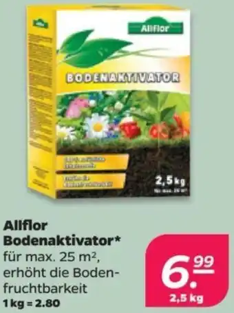 NETTO Allflor Bodenaktivator 2,5kg Angebot