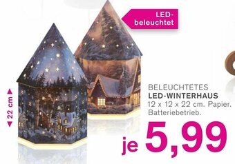 KODi Beleuchtetes LED Winterhaus Angebot