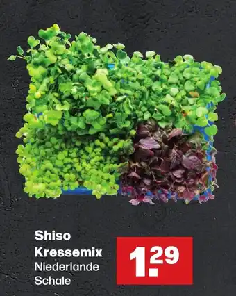 Handelshof Shiso Kressemix Niederlande Schale Angebot