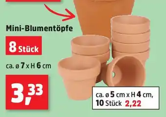 Thomas Philipps Mini-Blumentöpfe 8 Stück Angebot