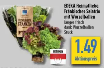 diska EDEKA Heimatliebe Fränkisches Salatrio mit Wurzelballen Angebot