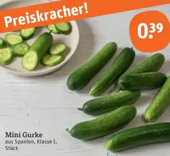 tegut Mini Gurke Angebot