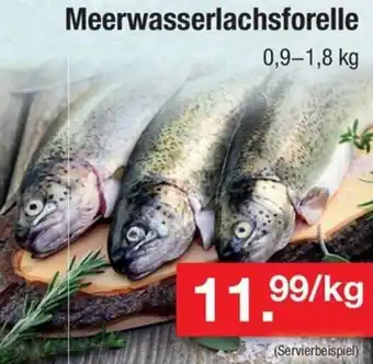 Zimmermann Meerwasserlachsforelle 0,9-1,8 kg Angebot