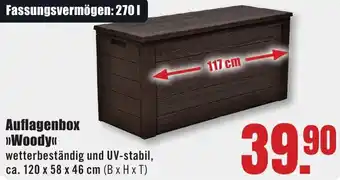 B1 Discount Baumarkt Auflagenbox Woody Angebot