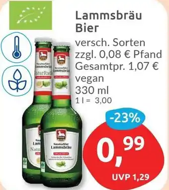 Budni Lammsbräu Bier 330 ml Angebot