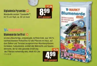 V Baumarkt V-MARKT Blumenerde 40 Liter Angebot