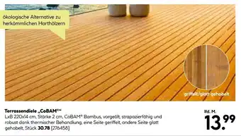 BayWa Terrassendiele „COBAM" Angebot