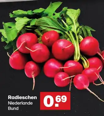 Handelshof Radieschen Niederlande Bund Angebot