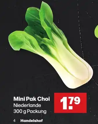 Handelshof Mini Pak Choi Niederlande 300 g Packung Angebot