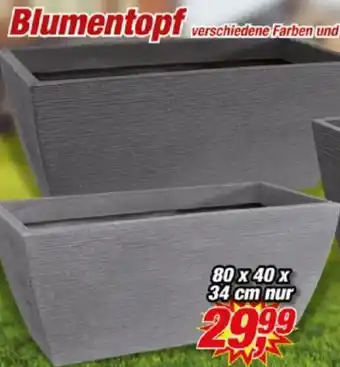 Posten Börse Blumentopf Angebot