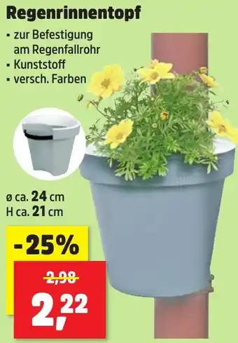 Thomas Philipps Regenrinnentopf Angebot