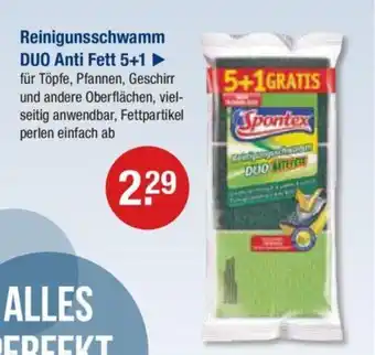 V Markt Spontex Reinigunsschwamm DUO Anti Fett 5+1 Angebot