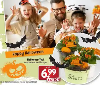 Wasgau Halloween Topf Angebot