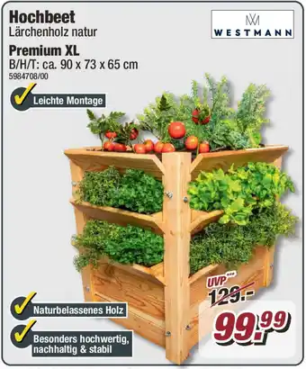 Poco WESTMANN Hochbeet Angebot