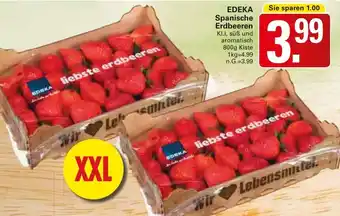 WEZ EDEKA Spanische Erdbeeren 800g Kiste Angebot