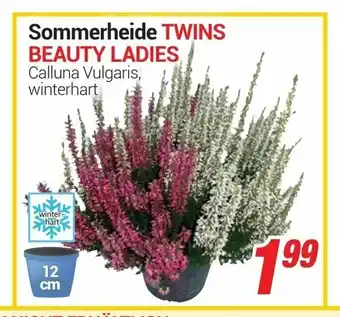 CENTERSHOP Sommerheide Twins Beauty Ladies Angebot