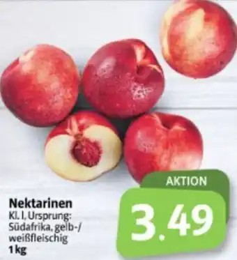 Markant Markt Nektarinen 1kg Angebot