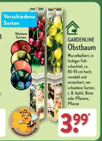 Aldi Nord GARDENLINE Obstbaum Angebot