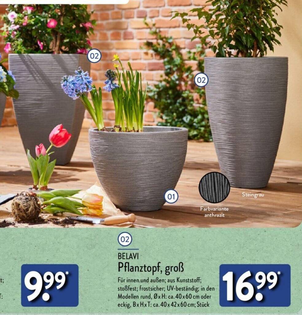 02 BELAVI Pflanztopf, gro Angebot bei Aldi Nord