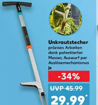 Kaufland Unkrautstecher Angebot