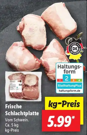 Lidl Frische Schlachtplatte kg Angebot