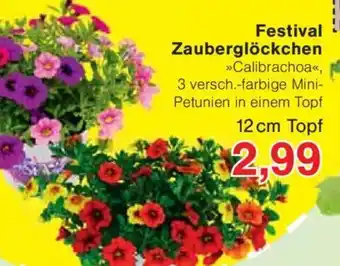 Jawoll Festival Zauberglöckchen Angebot