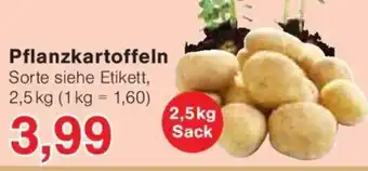 Jawoll Pflanzkartoffeln 2,5 kg Angebot