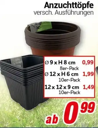 CENTERSHOP Anzuchttöpfe Angebot