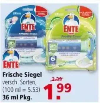 Multi Markt Ente Frische Siegel 36ml Angebot