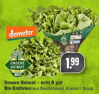 Edeka Neukauf Unsere Heimat echt & gut Bio Endivien Angebot