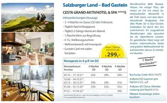 Edeka Neukauf Salzburger Land Bad Gastein Angebot