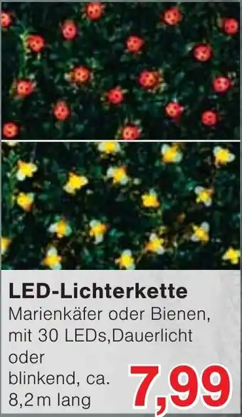 Wiglo Wunderland LED-Lichterkette Angebot
